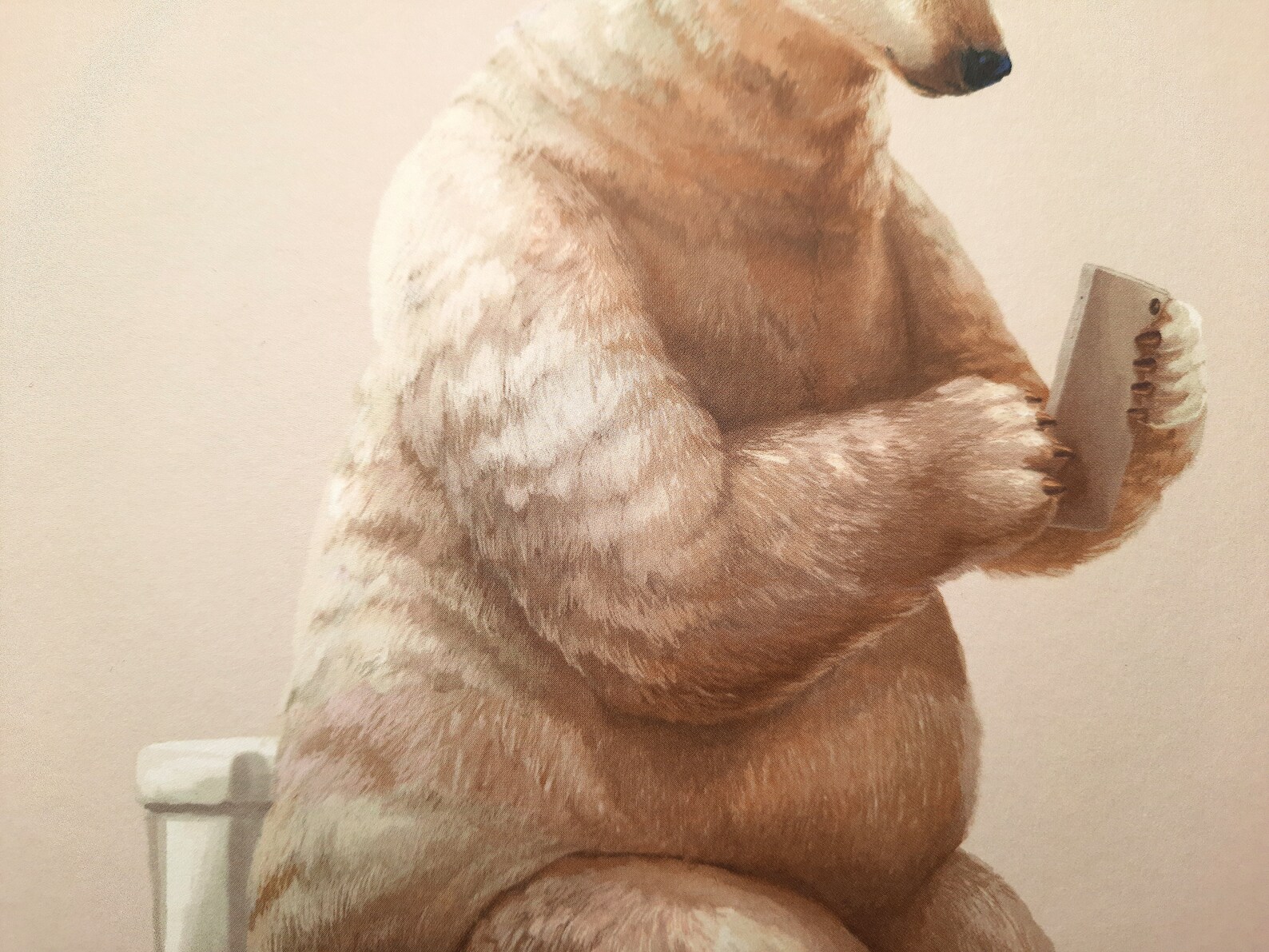 Polar Bear Print Bathroom Home Decor Funny Toilet Animal Etsy