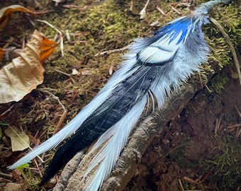 White, Black and Blue Green Feather Hair accessory