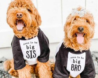 Soon to be Big Bro Big Sis Big Brother Big Sister Baby Announcement Dog Raglan or Tank | 10 Sizes  | Birth Announcement Baseball Tee Dogs