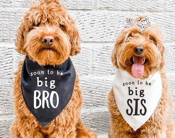 Big Sister/Brother Dog Bandana: Baby Announcement Prop, 19 Colors