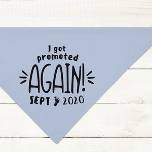Custom I Got Promoted Again! Promoted to Big Brother Promoted to Big Sister Bandana | NEW! 19 Colors! 3 Sizes Personalized Dog Lovers