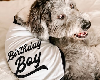 Birthday Boy or Girl Dog Shirt | 10 Sizes Dog Raglan or Tank | Typography Custom Baseball Tee for Dog's Birthday