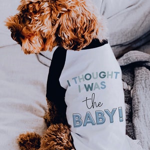 I Thought I Was the Baby! Big Brother Big Sister Shirt | 10 Sizes Dog Raglan or Tank | Typography Black & White Cute Custom Tee