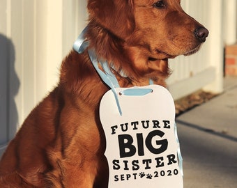 Future Big Sister or Big Brother Baby Announcement Newborn Photo Shoot Special Occasion Dog Sign Dog Photo Prop Pregnancy Announcement