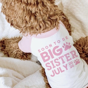 Soon to Be Big Brother Big Sister Little Brother Little Sister Dog Raglan or Tank | 10 Sizes  | Birth Announcement