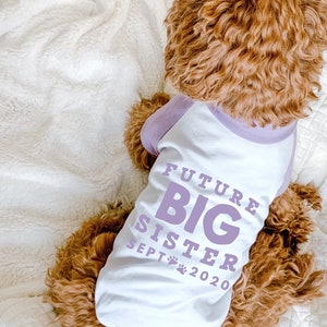 Future Big Brother Big Sister Pregnancy Announcement Shirt | 10 Sizes Dog Raglan Tank Typography Black & White