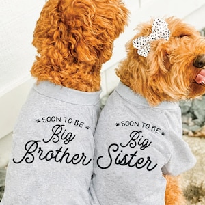 Soon To Be Big Brother or Soon to be Big Sister Dog Shirt