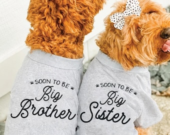 Może przedstawiać: Dwa psy golden doodle w pasujących szarych koszulkach. Koszulki mają napis "SOON TO BE Big Brother" i "SOON TO BE Big Sister" czarnym skryptem. Jeden pies ma białą kokardę w czarne grochy.