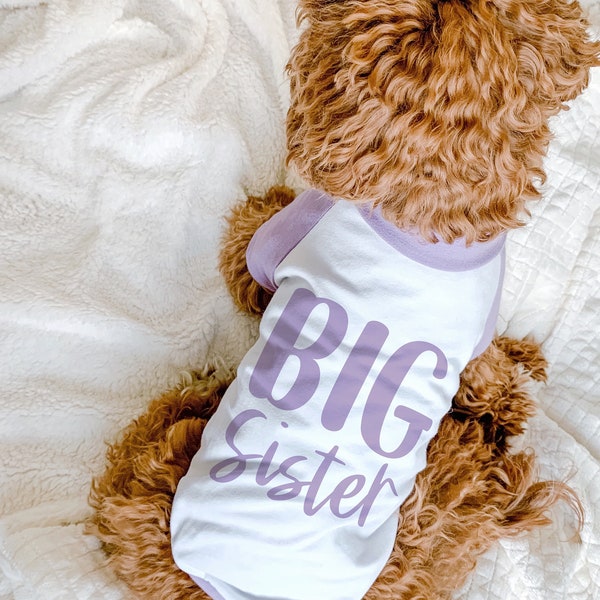 Big Brother Big Sister Little Brother Little Sister Dog Raglan or Tank | 10 Sizes  | Birth Announcement Baseball Tee