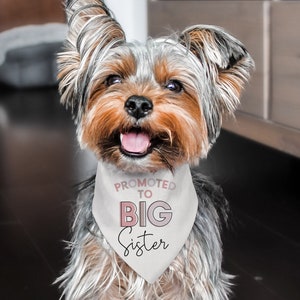 Custom Promoted to Be Big Sister Big Brother Birth Announcement Dog Bandana Scarf | NEW! 3 Sizes | Custom Personalized Gifts