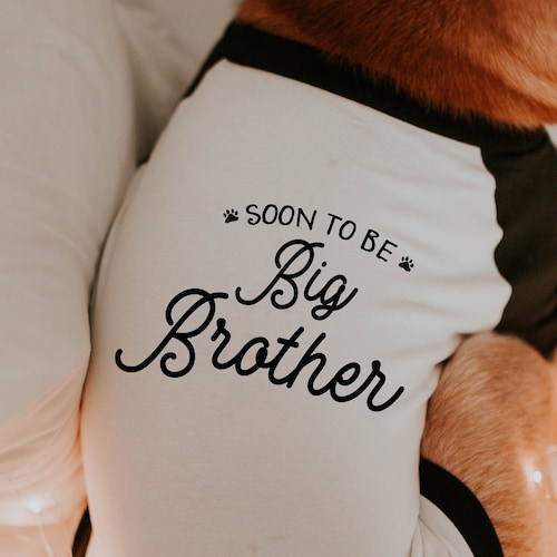 Promoted to Big Brother Shirt Baby Announcement Toddler Etsy