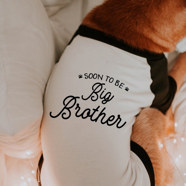Big Sister Dog Shirt Etsy