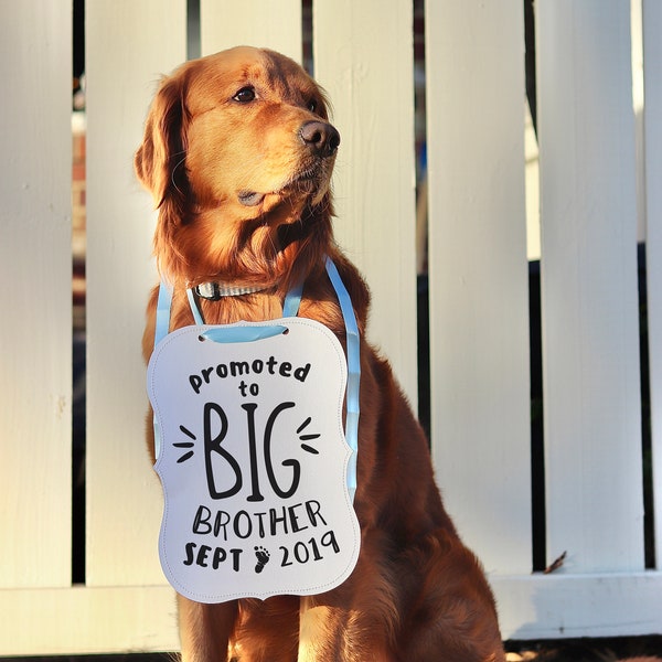 Promoted to Big Sister or Big Brother Baby Announcement Newborn Photo Shoot Special Occasion Dog Sign Dog Photo Prop Pregnancy Announcement