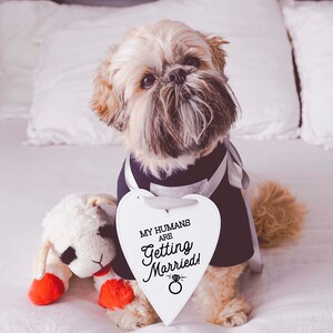 My Humans Are Getting Married Wedding Announcement Engagement Photo Shoot Special Occasion Dog Sign Dog Photo Prop Sign for Photo Shoot image 4