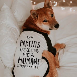 My Parents Are Getting Me a Human Pregnancy Announcement Shirt | 10 Sizes Dog Raglan or Tank Typography Black White