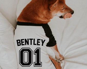 dog football jerseys personalized