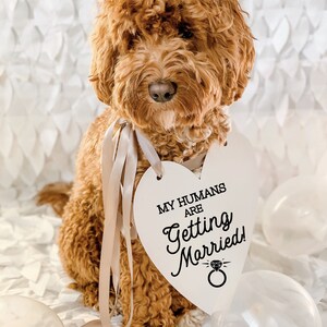 My Humans Are Getting Married Wedding Announcement Engagement Photo Shoot Special Occasion Dog Sign Dog Photo Prop Sign for Photo Shoot image 2