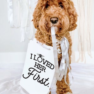 I Loved Her First Wedding Announcement Engagement Photo Shoot Special Occasion Dog Sign Dog Photo Prop | Sign for Photo Shoot image 1