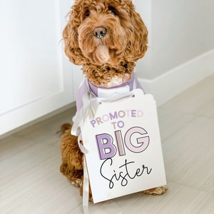 Promoted to Big Sister Dog Etsy UK