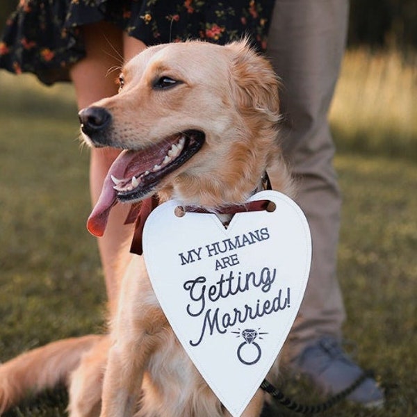Mes humains se marient Faire-part de mariage Séance photo de fiançailles pour une occasion spéciale Panneau de chien pour photo accessoire de chien pour séance photo