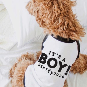 It's a Boy! Its a Girl! Gender Reveal Pregnancy Announcement Shirt | NEW COLORS! 10 Sizes Dog Raglan Tank Typography Black White