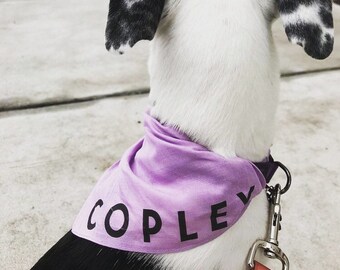 Custom Personalized Dog Name Bandana | NEW! 19 Colors! 3 Sizes | Colorful Scarf for Dogs | Fun Custom Personalized Gifts Dog Lovers