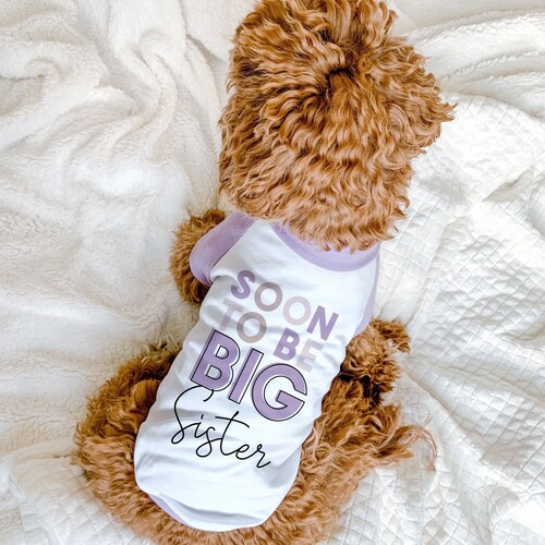 Soon to Be Big Brother Big Sister Dog Shirt 10 Sizes Custom Etsy