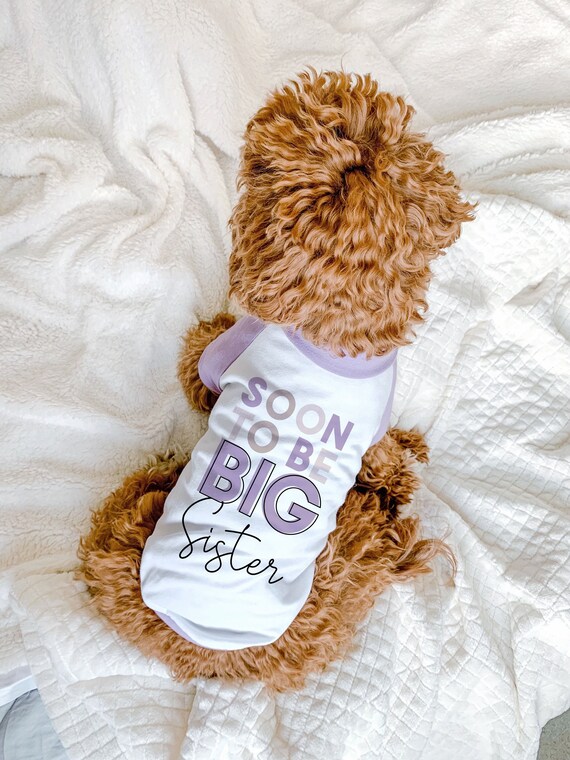 Dog shirt that top says big sister