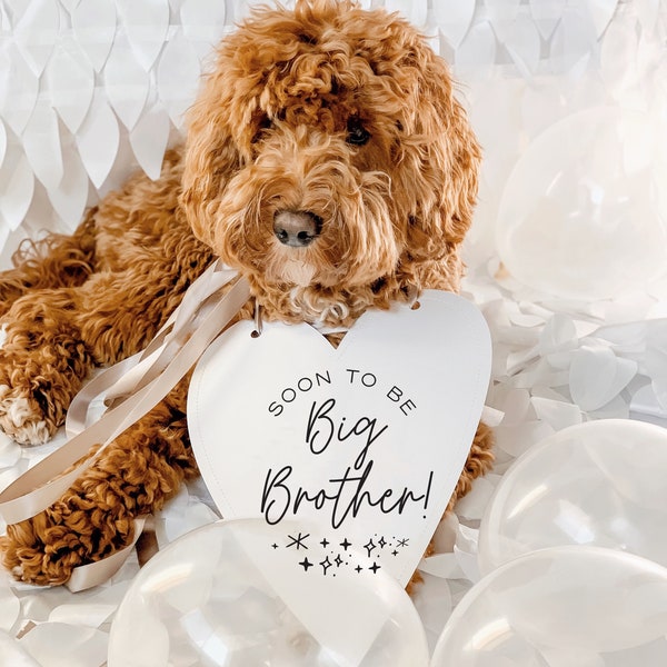 Soon To Be Big Bro Big Sis Big Brother Big Sister Baby Announcement Newborn Photo Shoot Dog Sign Prop Pregnancy Announcement