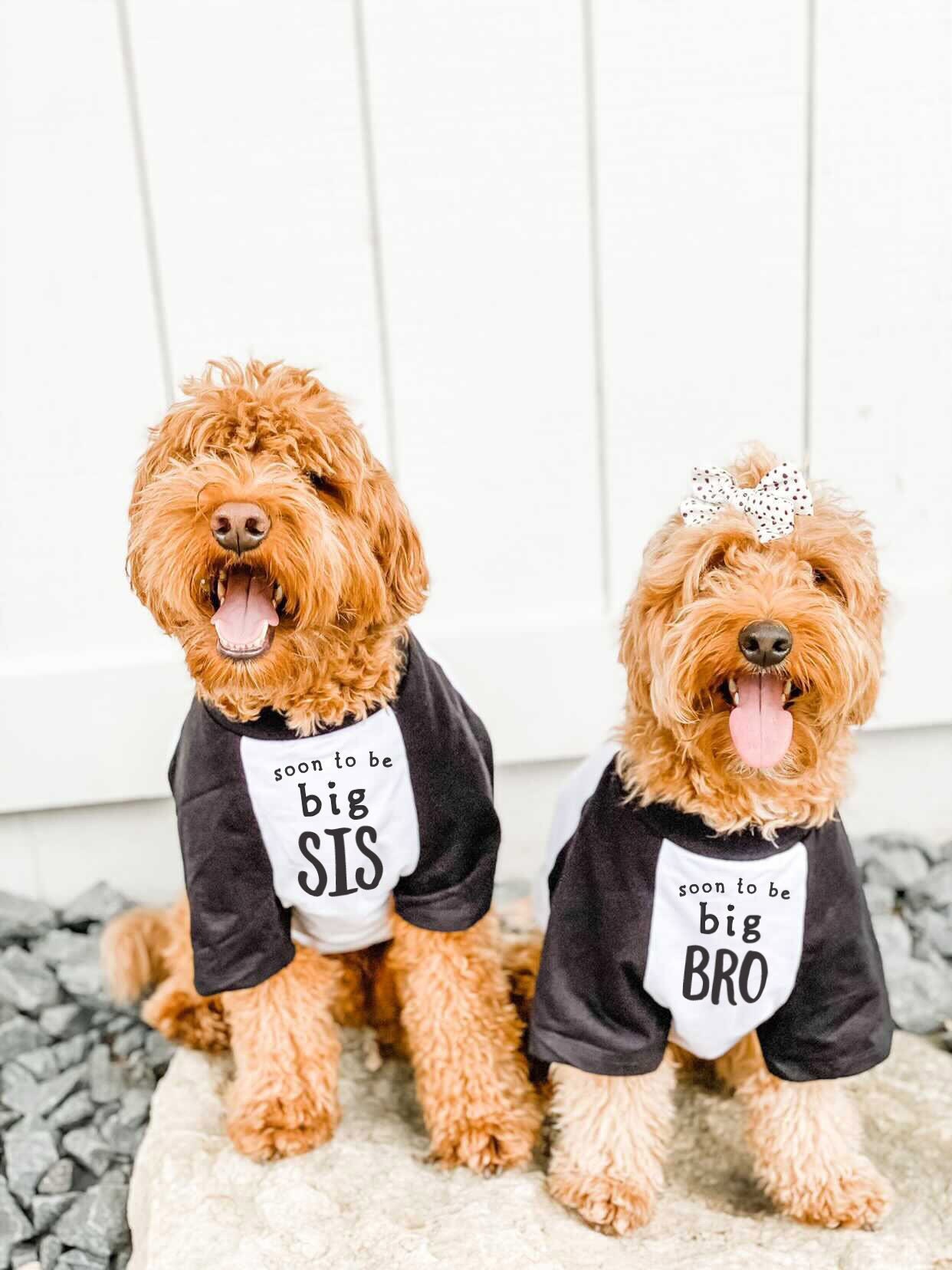 Dog Shirt Big Brother Etsy Canada