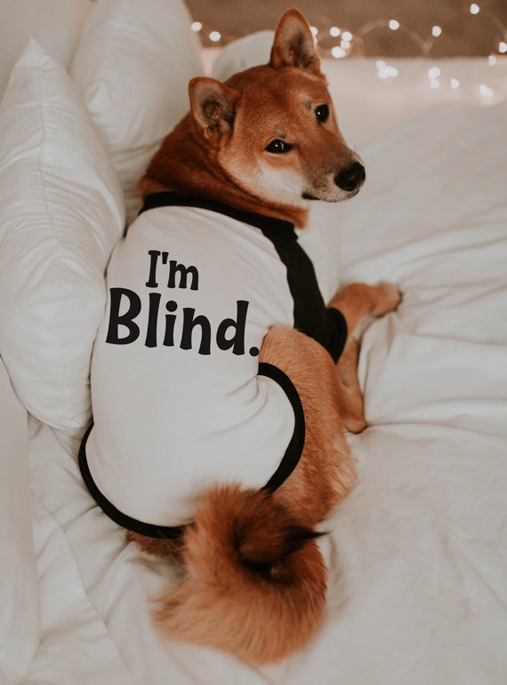 Custom I m Deaf I m Blind I m Anxious Shirt 10 Sizes Dog Raglan or Tank Typography Black White Cute Custom Etsy Ireland