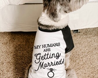 dog proposal shirts