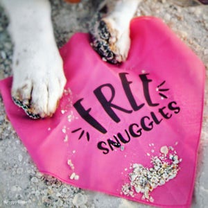 Free Kisses, Cuddles, or Snuggles Bandana | NEW! 19 Colors! 3 Sizes | Colorful Bandana for Dogs Doggies | Fun Custom Personalized Gifts