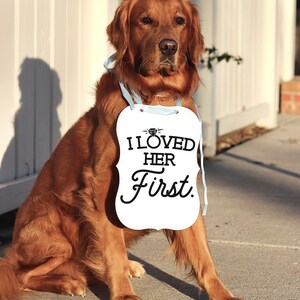 May include: A golden retriever sits outdoors, wearing a white sign with the text "I Loved Her First." The sign is adorned with a diamond ring graphic and is suspended by light blue ribbons. The dog is in a seated position.