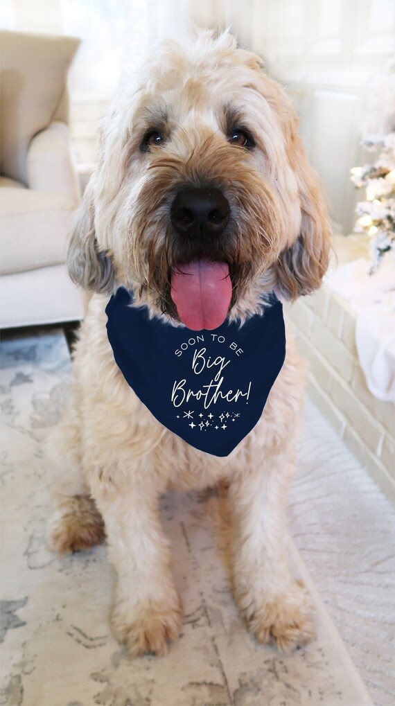 Big brother hot sale dog bandana australia