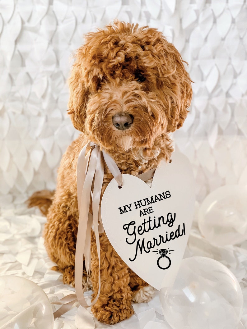 My Humans Are Getting Married Wedding Announcement Engagement Photo Shoot Special Occasion Dog Sign Dog Photo Prop Sign for Photo Shoot image 2