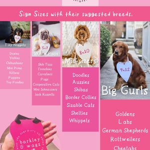 May include: Pink graphic featuring the text "barkley & wagz" and a dog and cat silhouette. The image includes sign sizes with suggested dog breeds: Tiny Nuggets, Wittle Pups, Mid-sizers, and Big Gurls.