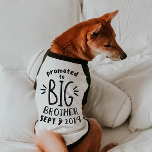 Promoted to Big Brother Big Sister Shirt 10 Sizes Dog Raglan or Tank Typography Black & White Cute Custom Tee image 2