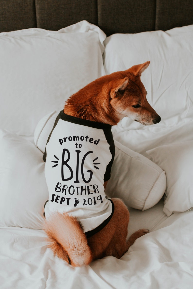 Promoted to Big Brother Big Sister Shirt 10 Sizes Dog Raglan or Tank Typography Black & White Cute Custom Tee image 2