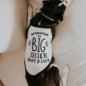 Promoted to Big Brother Big Sister Shirt 10 Sizes Dog Raglan or Tank Typography Black & White Cute Custom Tee image 3