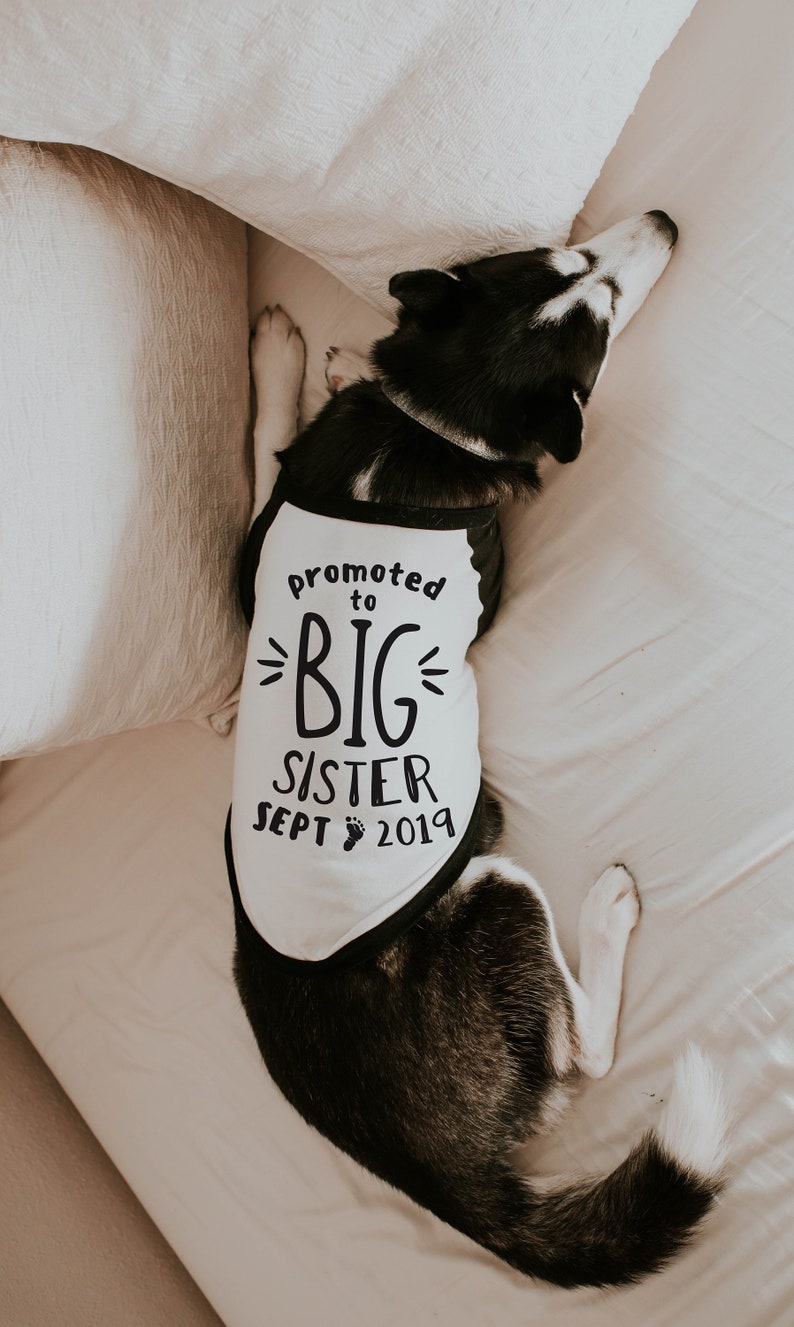 Promoted to Big Brother Big Sister Shirt 10 Sizes Dog Raglan or Tank Typography Black & White Cute Custom Tee image 3