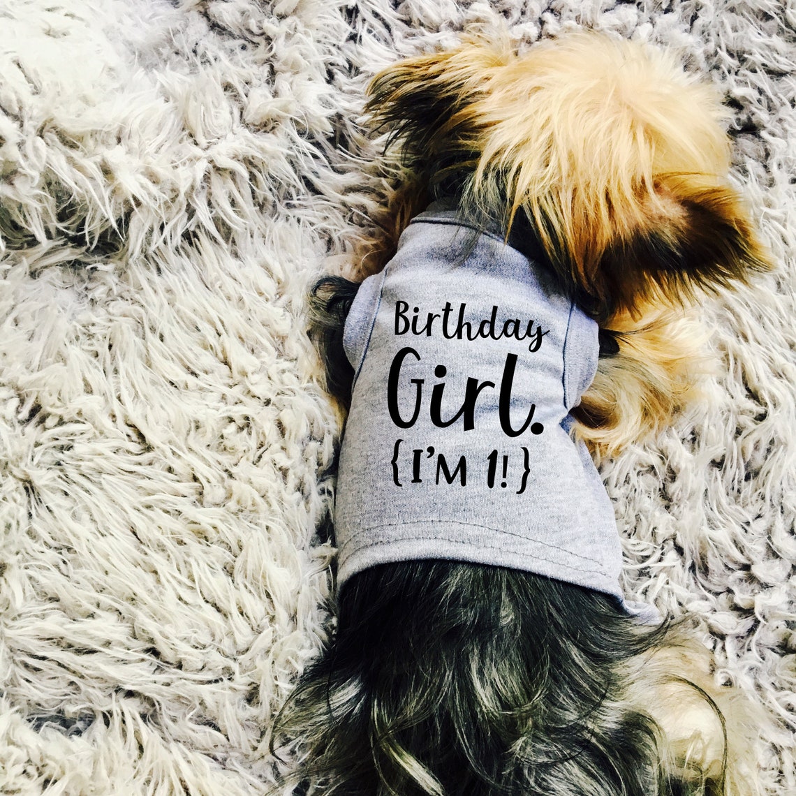 Birthday Boy or Girl Dog Shirt 10 Sizes Dog Raglan or Tank Etsy