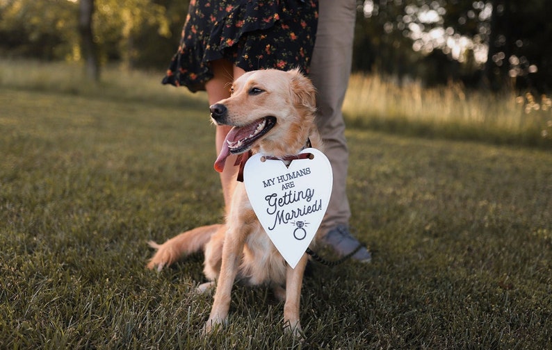 My Humans Are Getting Married Wedding Announcement Engagement Photo Shoot Special Occasion Dog Sign Dog Photo Prop Sign for Photo Shoot image 1