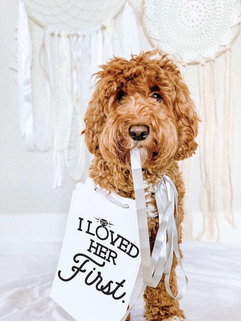 I Loved Her First Wedding Announcement Engagement Photo Shoot Special Occasion Dog Sign Dog Photo Prop | Sign for Photo Shoot image 1