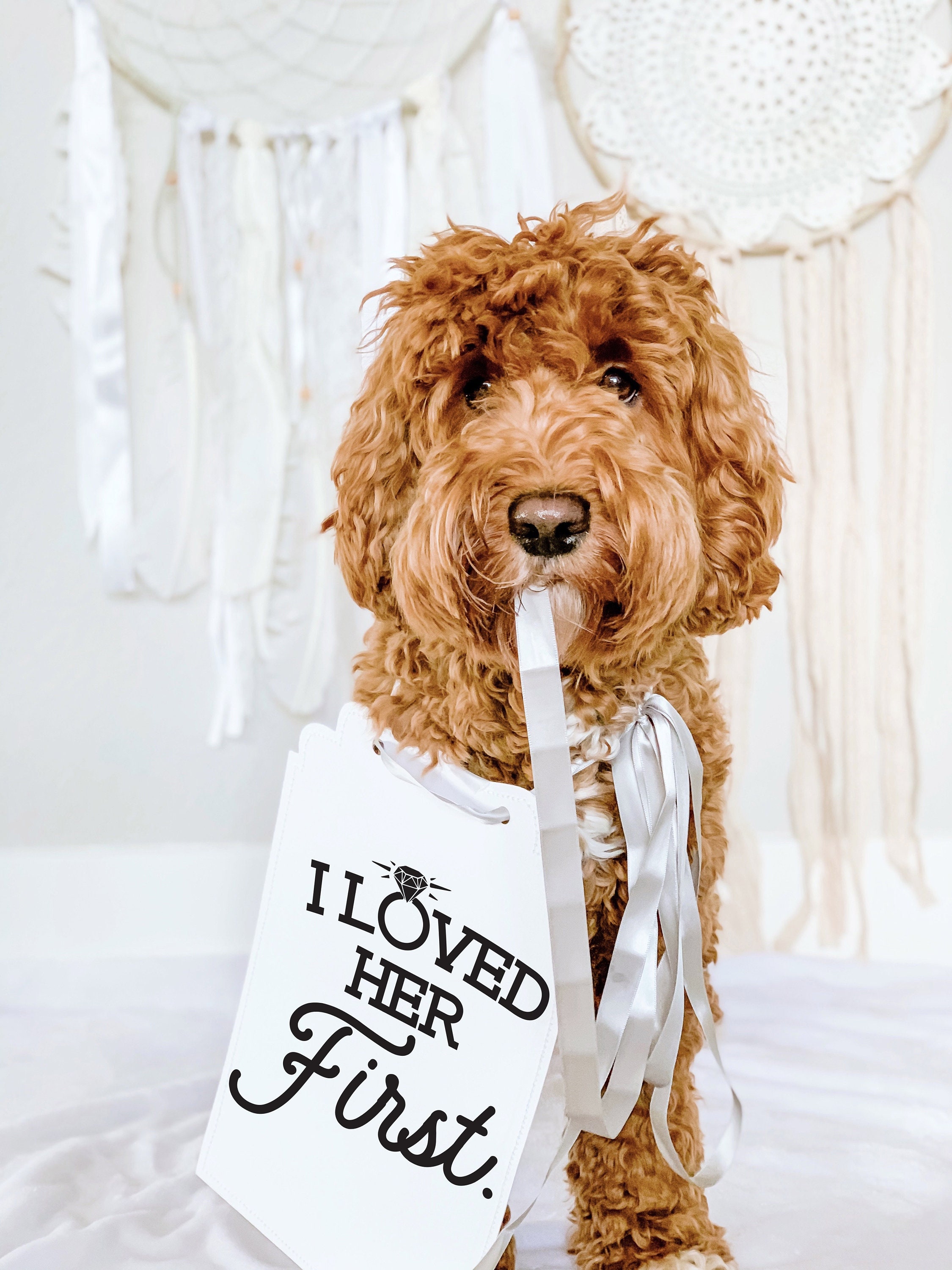 I Loved Her First Dog Bandana - Adjustable Triangle Scarf For Engagement, Wedding, Valentine's Day (Hot Pink, One Size)