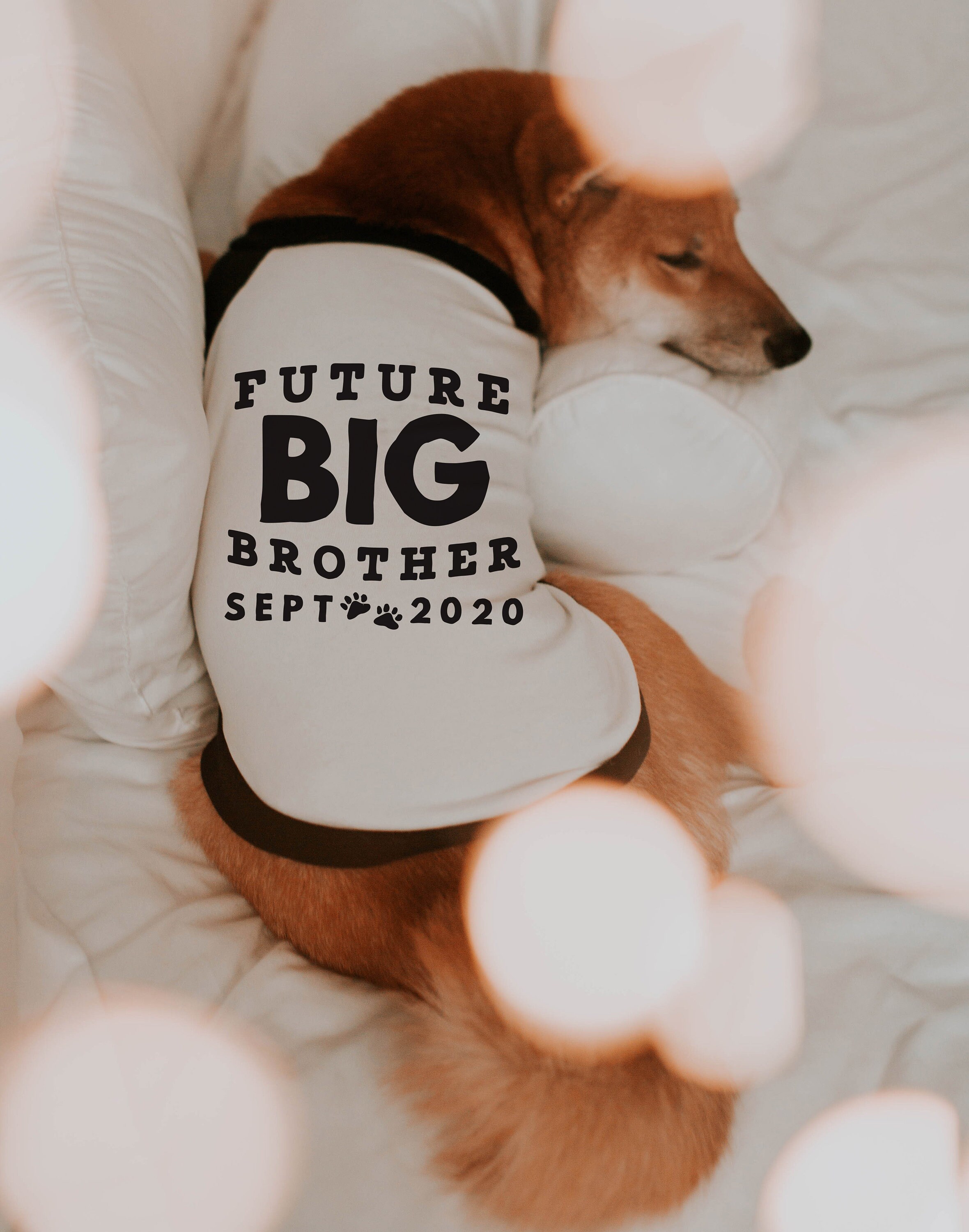 Future Big Brother Big Sister Pregnancy Announcement Shirt 10