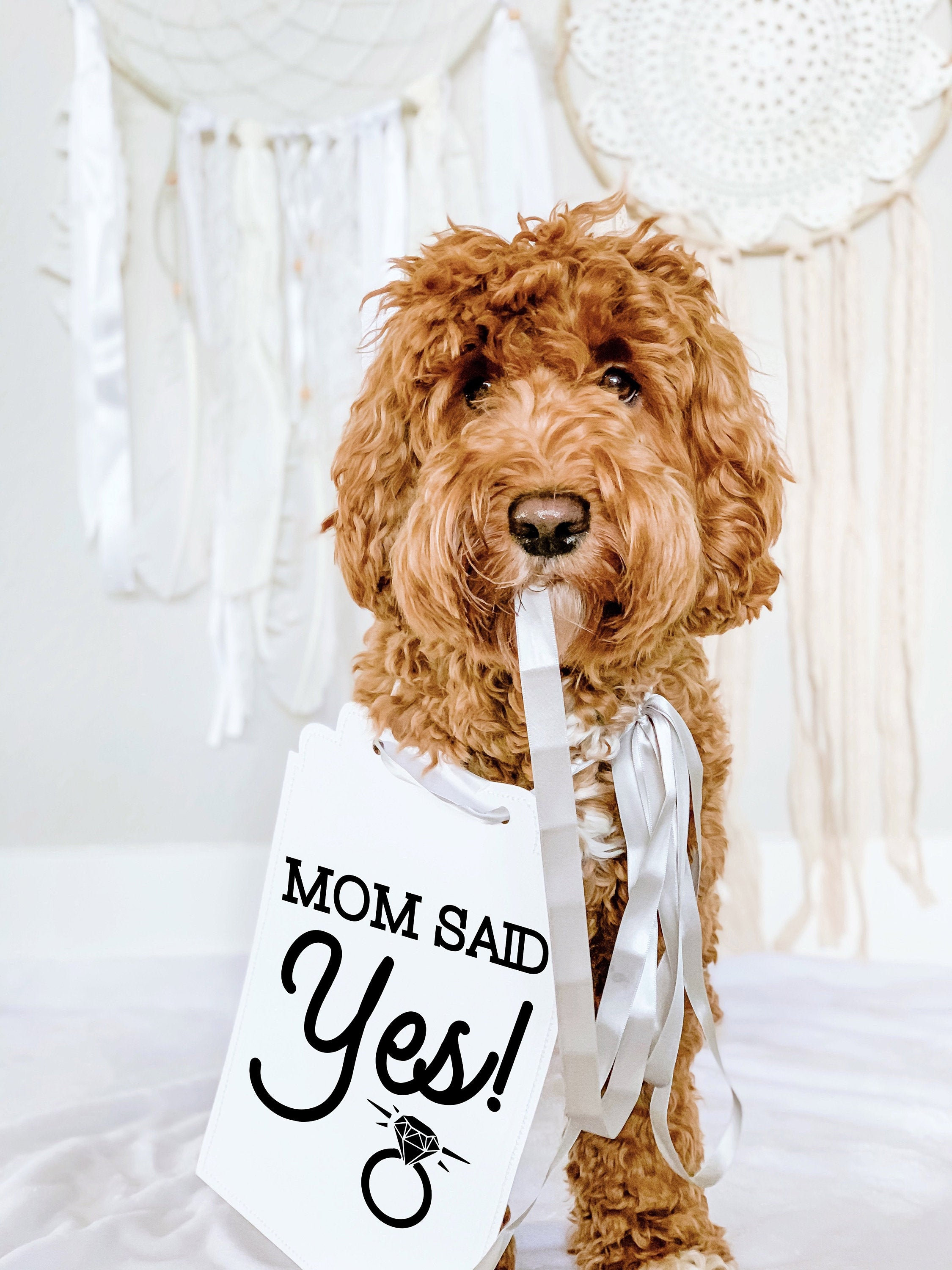 Mom Said Yes Wedding Announcement Engagement Photo Shoot Special Occasion  Dog Sign Dog Photo Prop Sign for Photo Shoot - Etsy