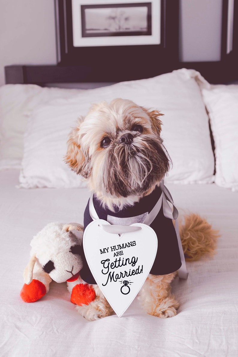 My Humans Are Getting Married Wedding Announcement Engagement image 1