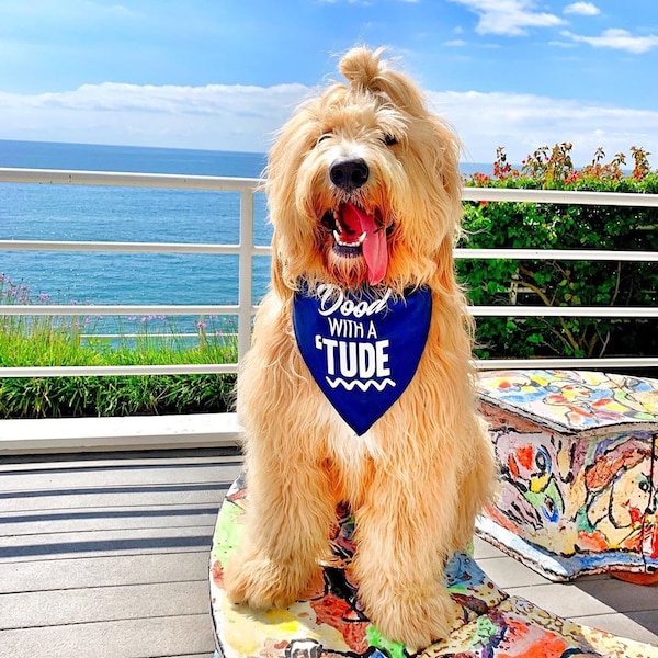 Dood With a 'Tude Attitude Doodle Goldendoodle Labradoodle Bandana | NEW! 19 Colors! 3 Sizes | Fun Custom Personalized Gifts