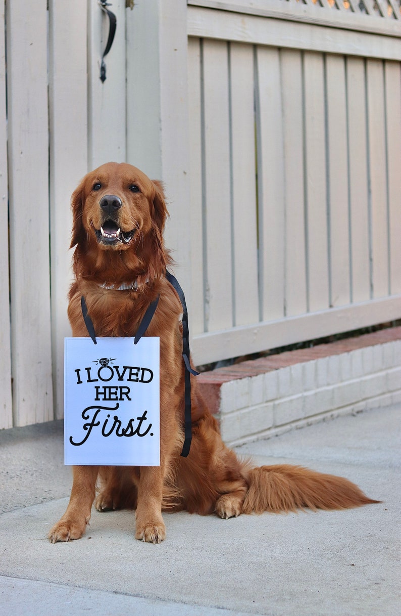 I Loved Her First Wedding Announcement Engagement Photo Shoot Special Occasion Dog Sign Dog Photo Prop | Sign for Photo Shoot image 2